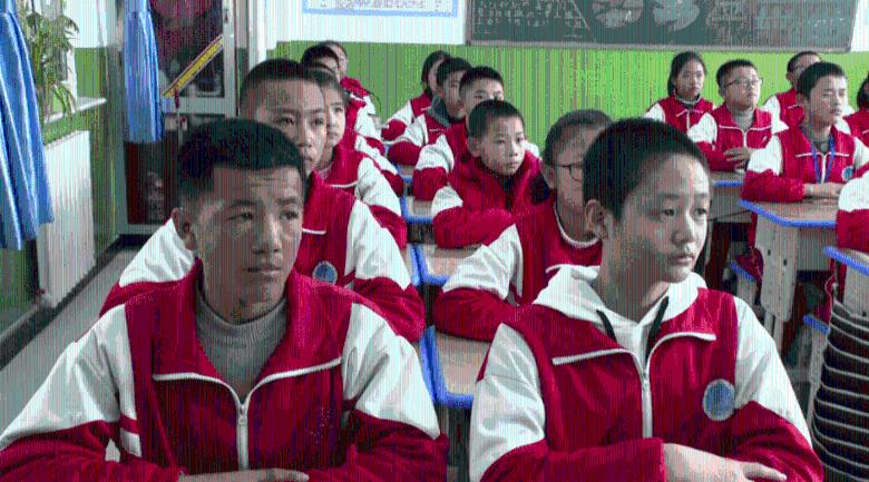 了解更多关于几月份养鹦鹉最好?知识星球的内容